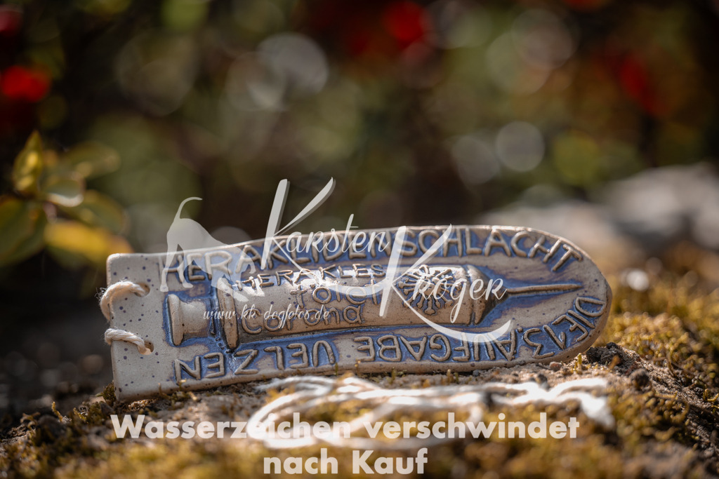 1154_ZZ99720 | kk-dogfotos