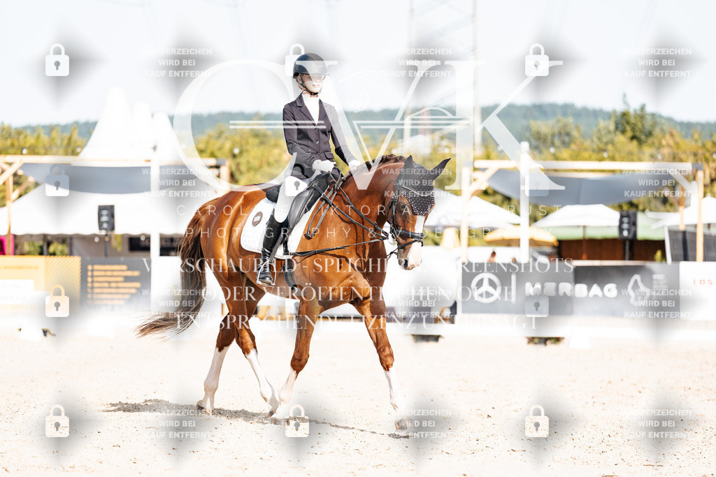 CK905567 | Turnierfotografie Pferdefotografie Trier Rheinland-Pfalz Pferdesport Reitsport Tierfotografie Sportfotografie Pferdevideo Pferdevideografie Equestrianvideography equestrianphotography  - Realisiert mit Pictrs.com