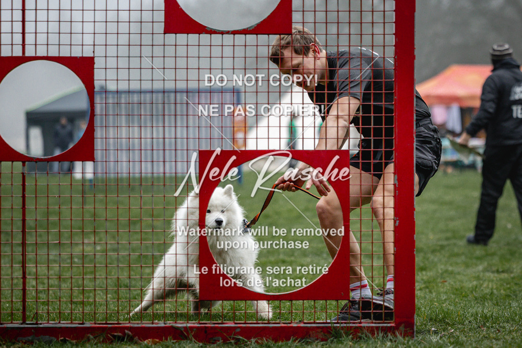 nelerasche_Hulsbeek_Sa0845-1030_13 | nelerasche