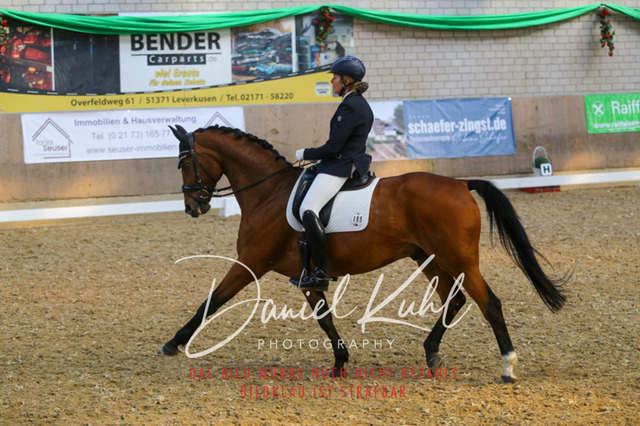 IMG_2620 | Turnierfotos kaufen im Webshop von Daniel Kuhl Photography – entdecke professionelle Reitsportfotos aus Turnieren & Events. Hochwertige Turnierbilder online bestellen & sichern. Jetzt Fotos von Reitsportturnieren kaufen!