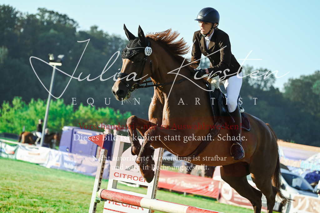 DSC_3953 | Pferde- und Turnierfotografie in Westsachsen. Pferdeportraits, Auftragszeichnungen und intuitive Kunst.