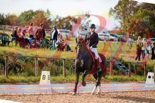 2026_10_03_Siefer-Hof_131718_Z63_79270183 | Professionelle Reitsport-, Turnier- und Eventfotografie von Robert Broda. Galerien mit ausgewählten und bearbeiteten Bildern direkt online ansehen und bestellen.