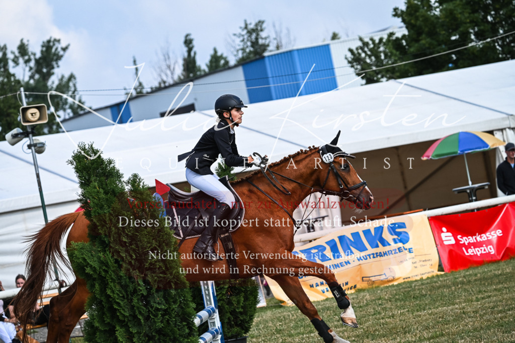 DSC_7949 | Pferde- und Turnierfotografie in Westsachsen. Pferdeportraits, Auftragszeichnungen und intuitive Kunst.