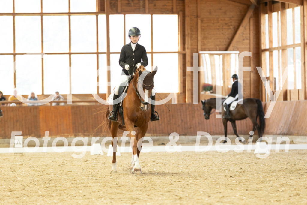 IMG_5932 | Creatify Fotografie