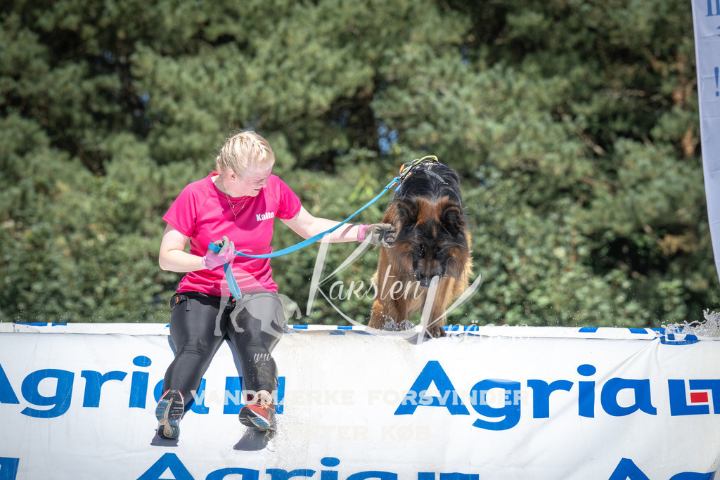 1430_ZZ94405 | kk-dogfotos