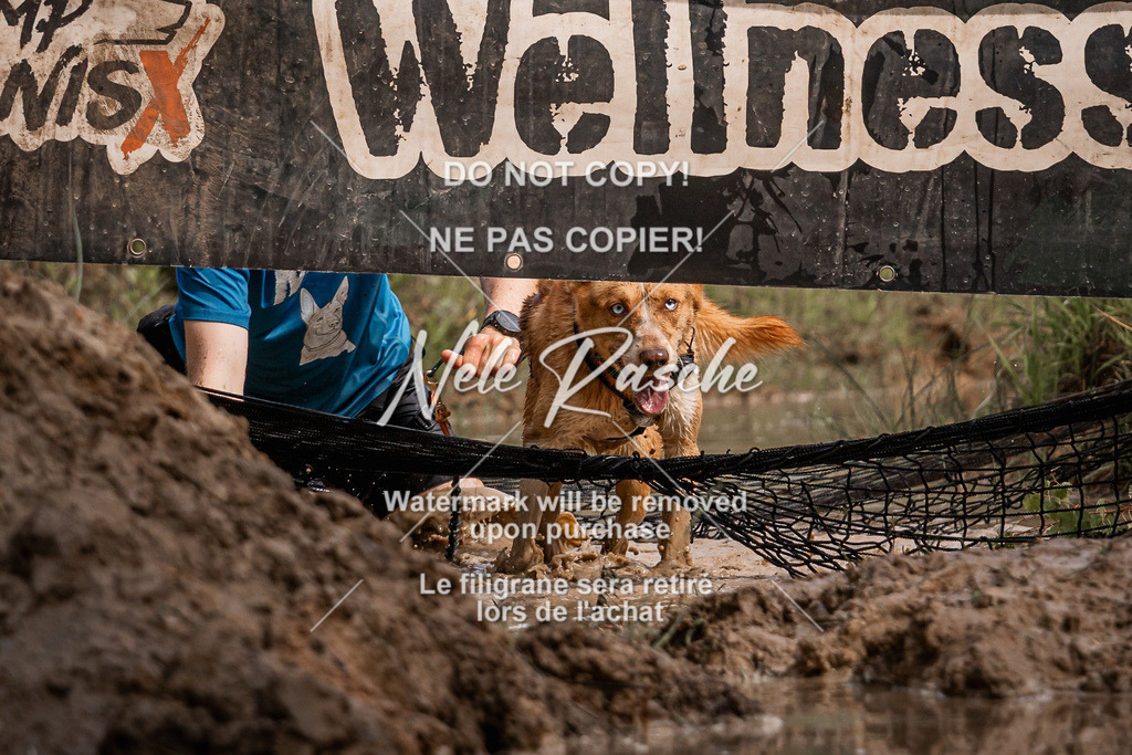 nelerasche_Hoope2026_Sa10-1030_317 | nelerasche