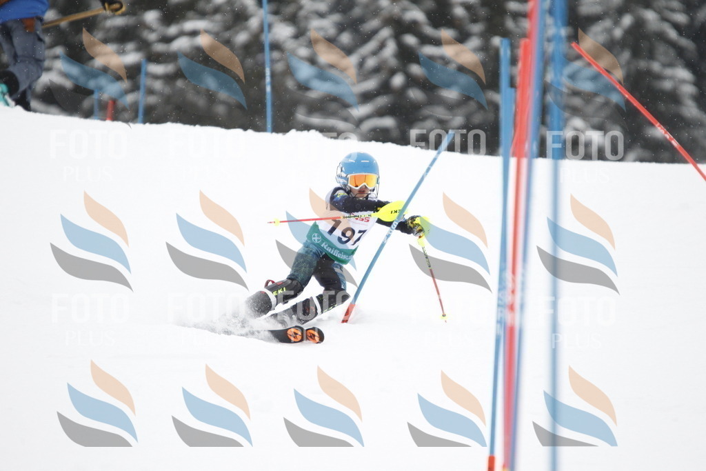 A2023 | holidayphoto