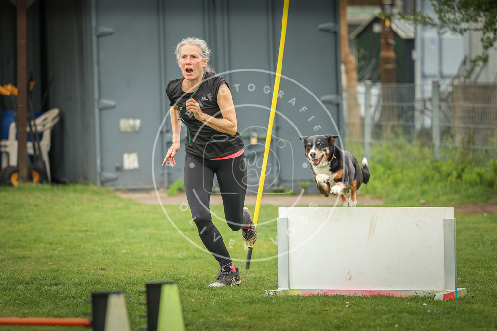 Pfotenfotografie_0L8A0060 | Hundefotografie, Tierfotograf, Pfotenfotografie, Fotoshooting Hund, Hunde Portrait, Hundesport, Hundeportraits, Heideshooting, Hunde, Sportfotograf, Hundefotograf, Turnierhundsport, THS,  - Realisiert mit Pictrs.com