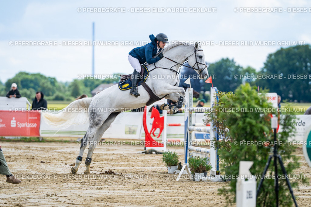 DSC05488 | Pferdegrafie