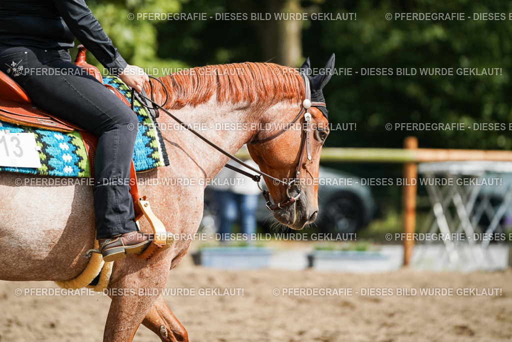 DSC04304 | Pferdegrafie