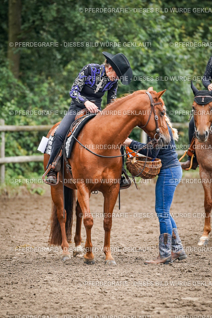 DSC02092 | Pferdegrafie