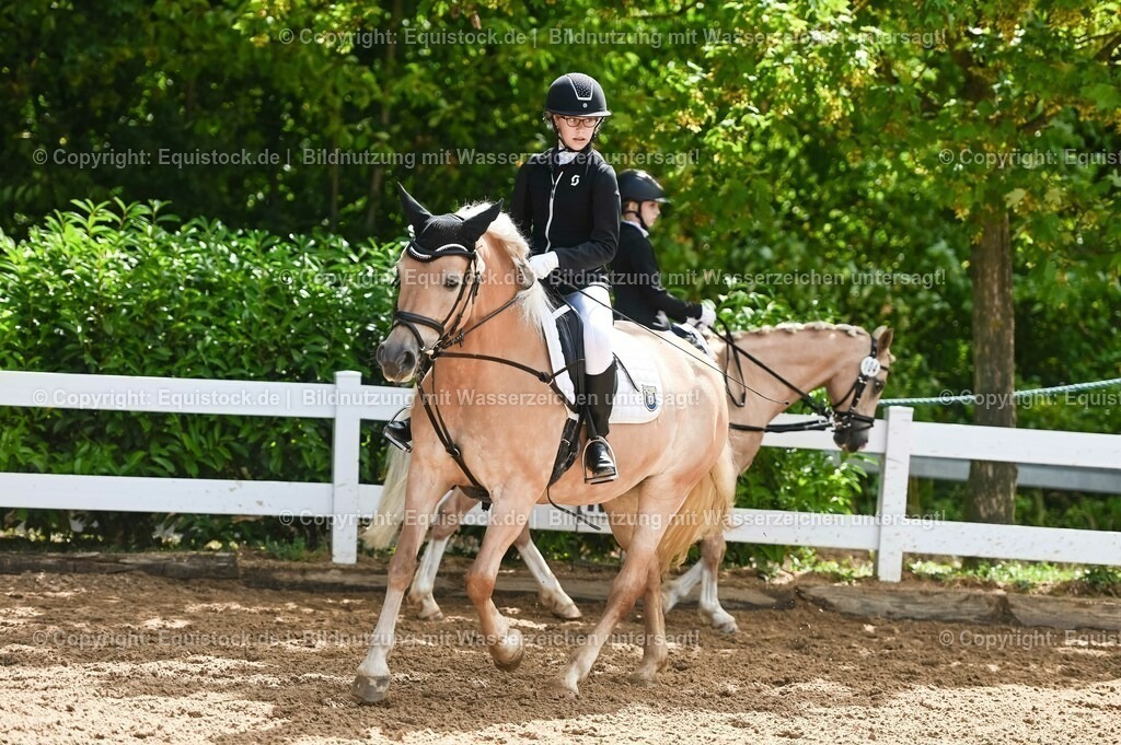 20230716_10-3_Reiter-WB Schritt - Trab - Galopp_0086 | equistock