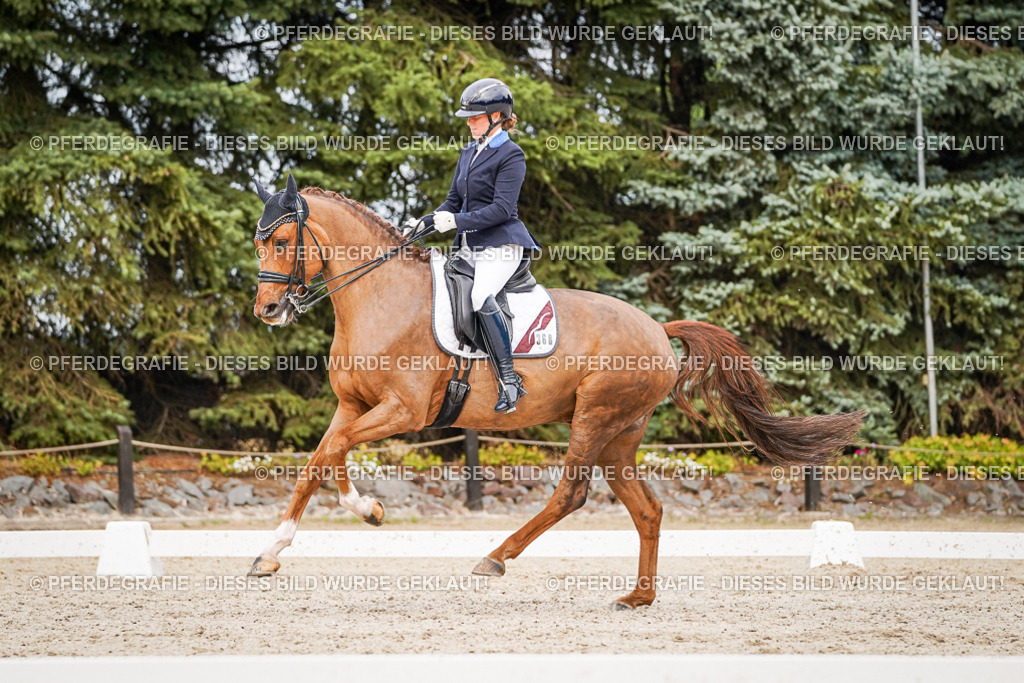 DSC07454 | Pferdegrafie