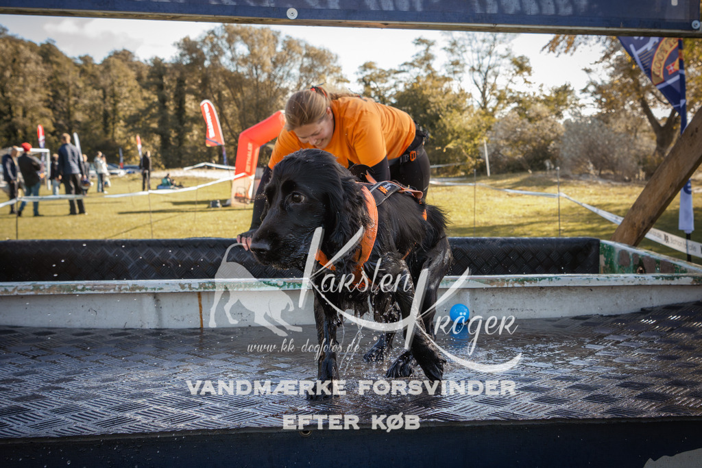 1229_ZZ96695-2 | kk-dogfotos