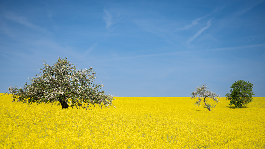 _DSC5710 | renerovisanfotoart.com