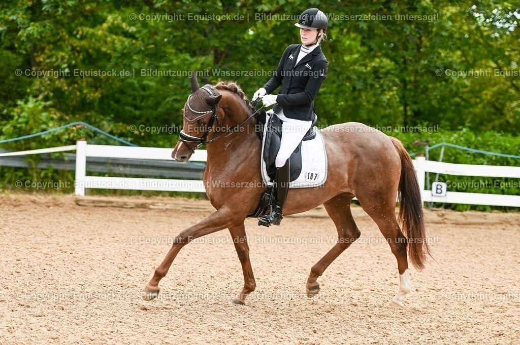 20230715_07_Dressurpferdeprfg. Kl.L_0052 | equistock