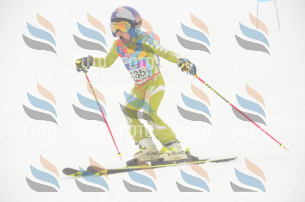 C1669 | holidayphoto