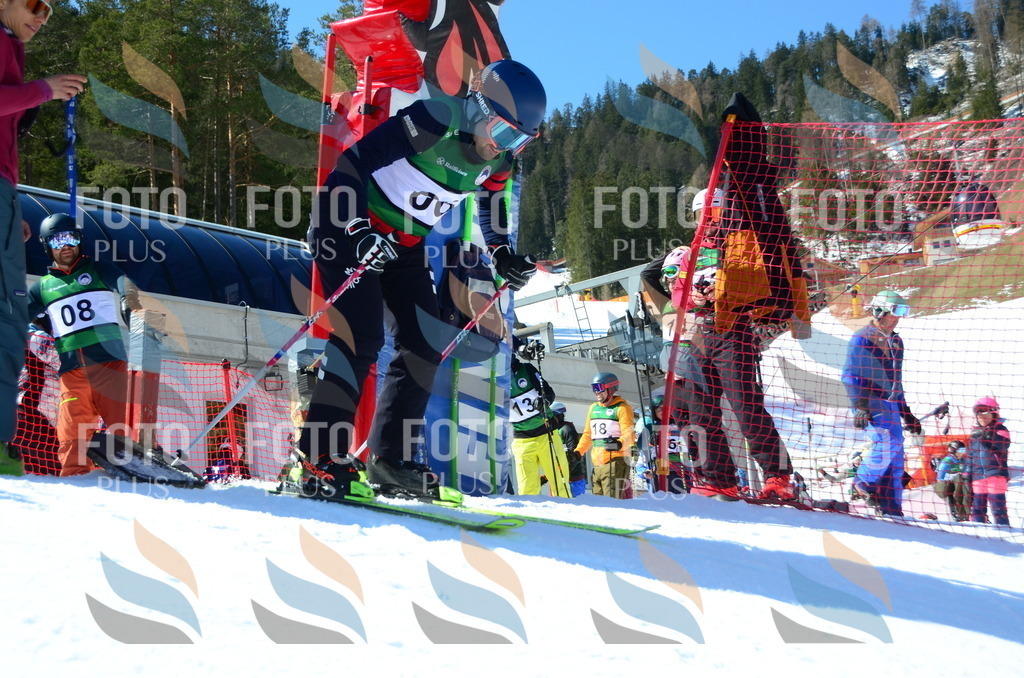 C6686 | holidayphoto