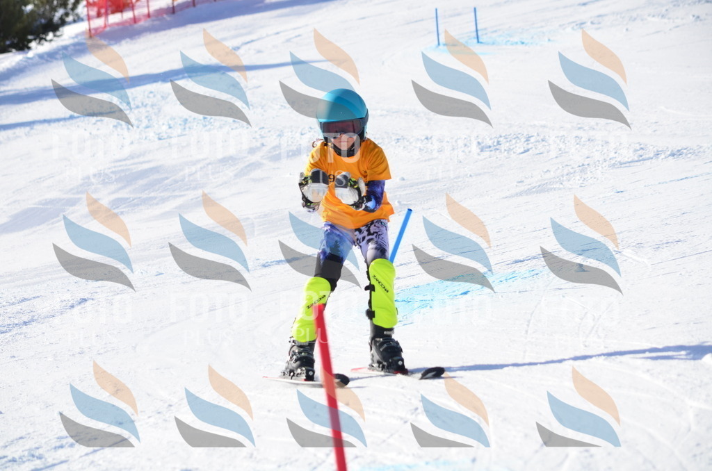 C6074 | holidayphoto