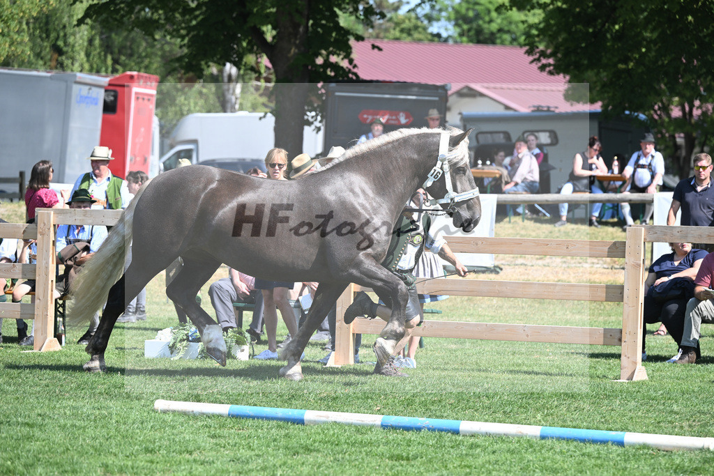 Kat-Nr. 16 Bernina_Bayrhof_20230244 | hf-fotografie - Realisiert mit Pictrs.com