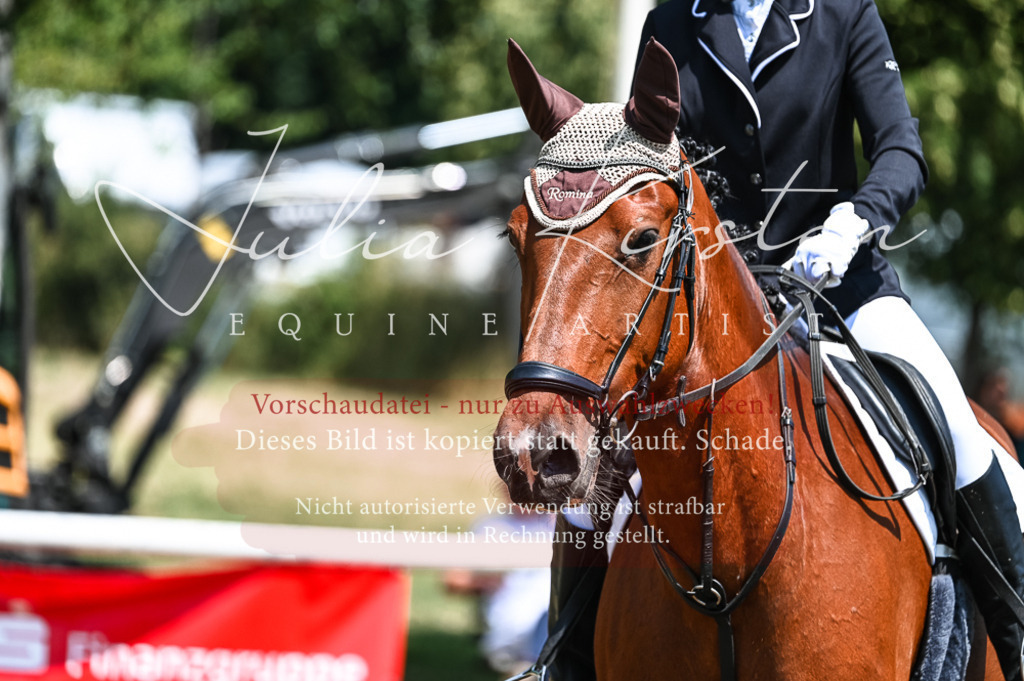 DSC_9876 | Pferde- und Turnierfotografie in Westsachsen. Pferdeportraits, Auftragszeichnungen und intuitive Kunst.