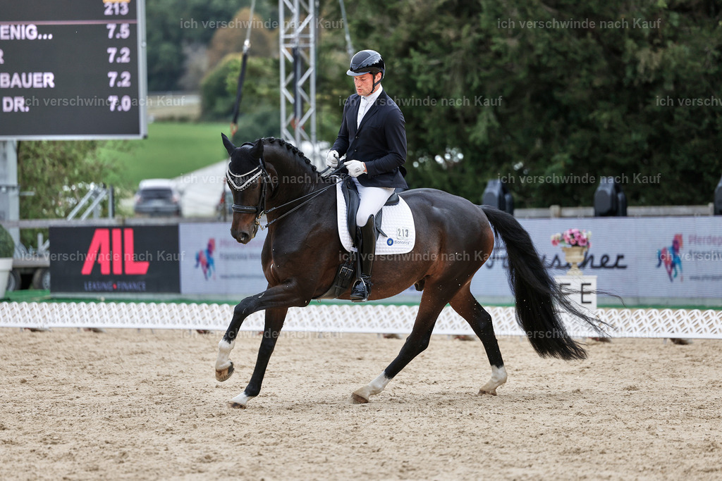 3-213-Dressur M_-StoibPH-2500 | working equitationturnier fotograf videograf stoibphotography marixx film working equitation deutschland reitsport turnierfotografie eventfotografie equestrian events