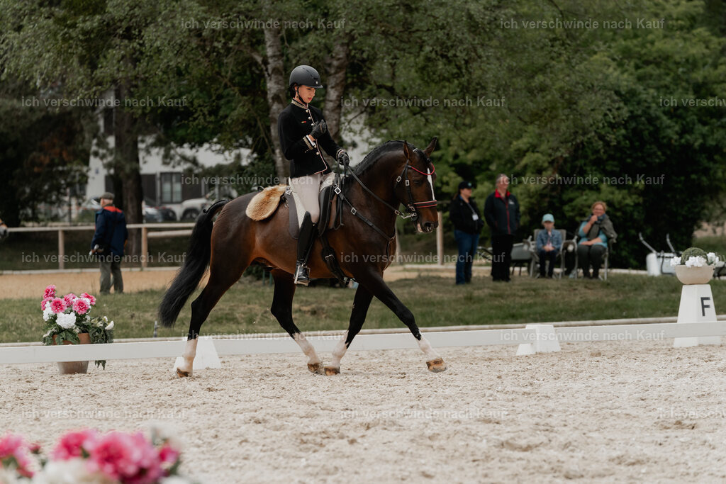 WE_DR_Stoib_330_PI2025_747 | Pferd International München 2025