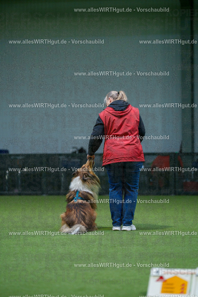 7R500431 | Professionelle Tierfotografie in Mönchengladbach von Daniel Wirth (allesWIRTHgut). Liebevolle & natürliche Bilder von Hunden & Katzen für unvergessliche Erinnerungen.