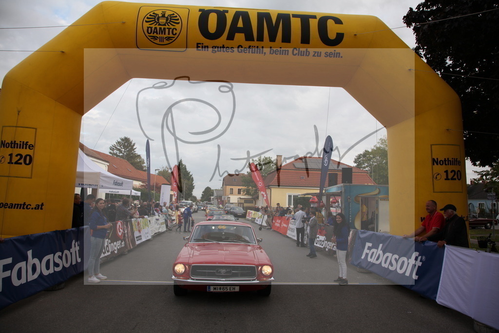 IMG_6424 | Gerhard Witt