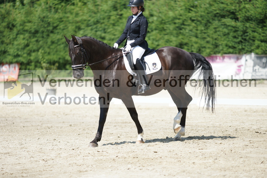 DSC01656 | equestrian-live-com