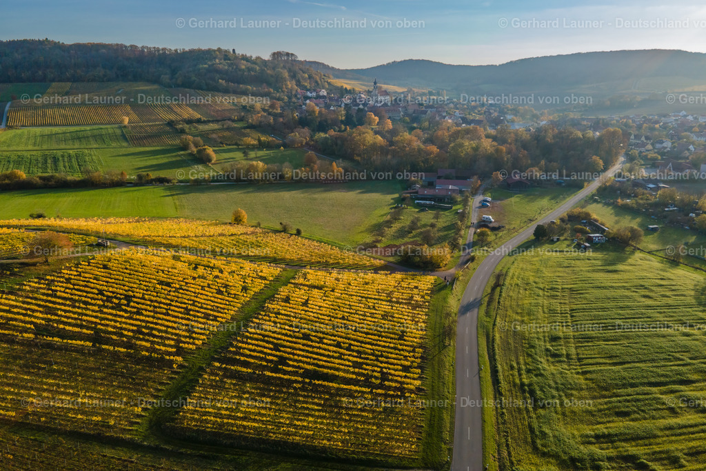 WEI0027 | Weinberg bei Castell