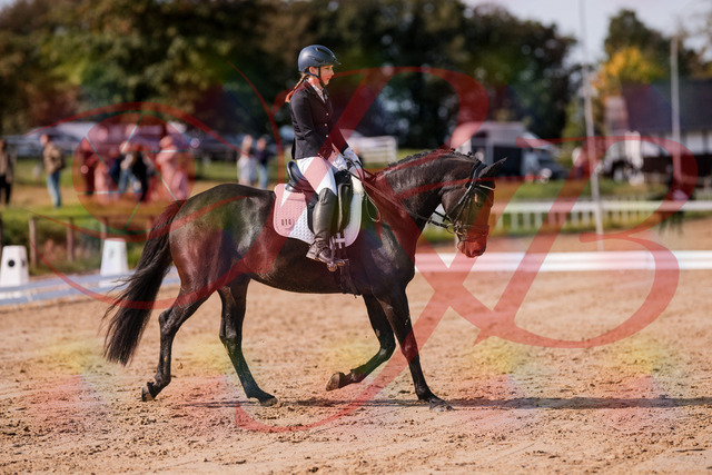 2026_10_03_Siefer-Hof_121425_Z81_16413782 | Professionelle Reitsport-, Turnier- und Eventfotografie von Robert Broda. Galerien mit ausgewählten und bearbeiteten Bildern direkt online ansehen und bestellen.
