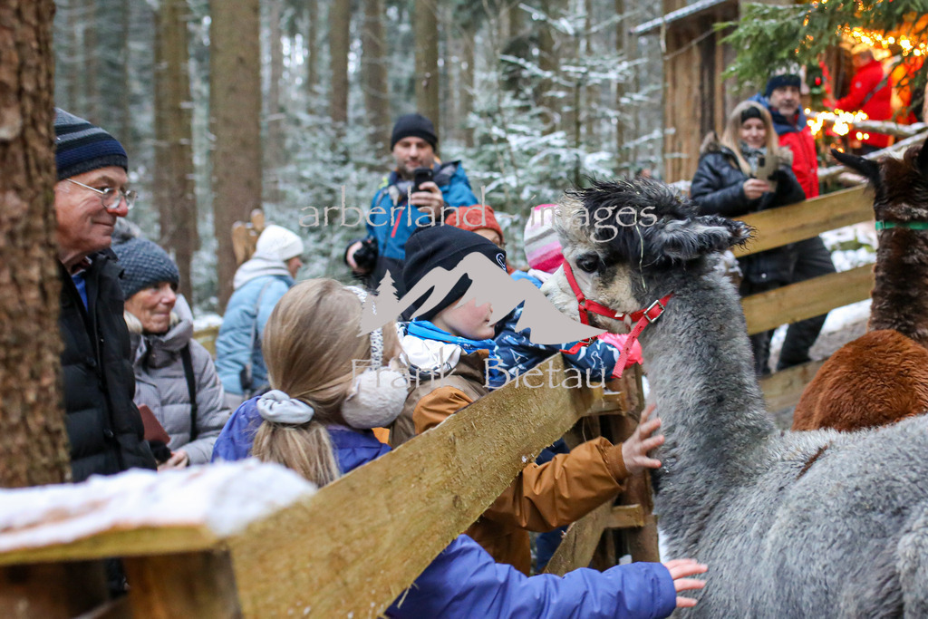 OE7A0246 | Medien- Sport- Entertainmentfotos