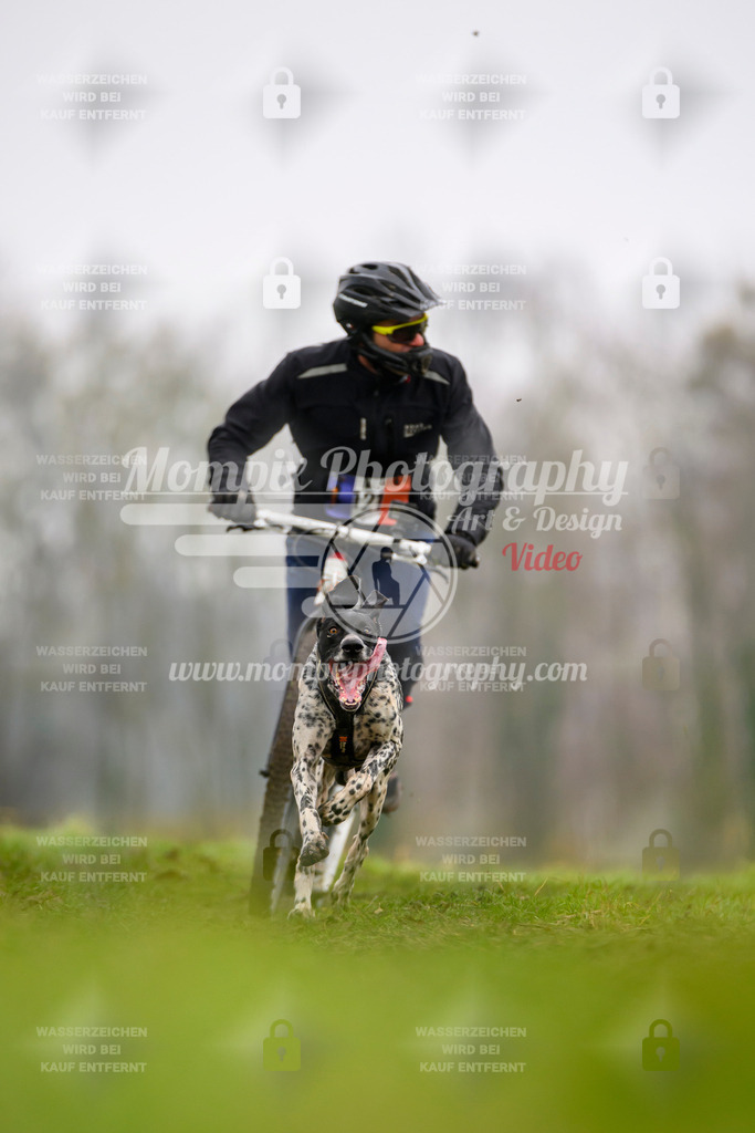 MompixPhotography_CDF2023_FFST_Di_DS1-7 | PayLife