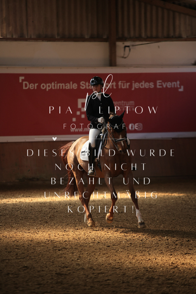 IMGT2877 | pl-fotografie