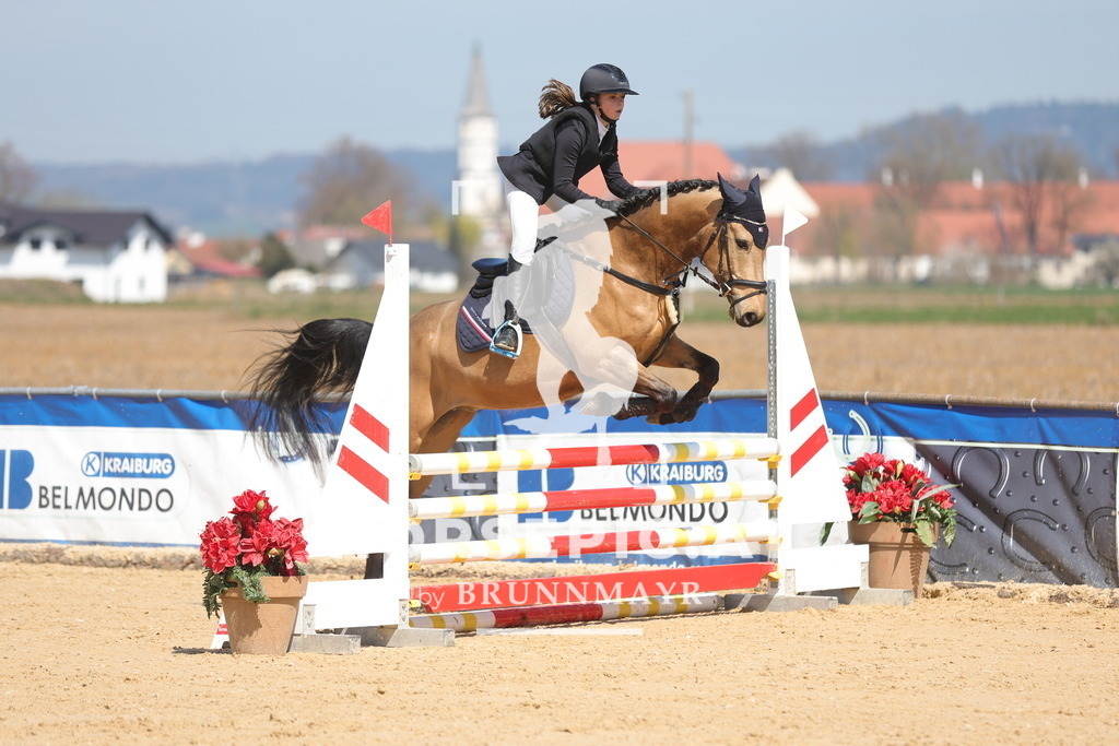 0P6A9752 | Willkommen bei Brunnmayr - Design & Fotografie – Ihrem Spezialisten für Reitturniere und Pferdeveranstaltungen in Oberösterreich, Salzburg und Bayern! Seit über 17 Jahren sind wir leidenschaftlich dabei.