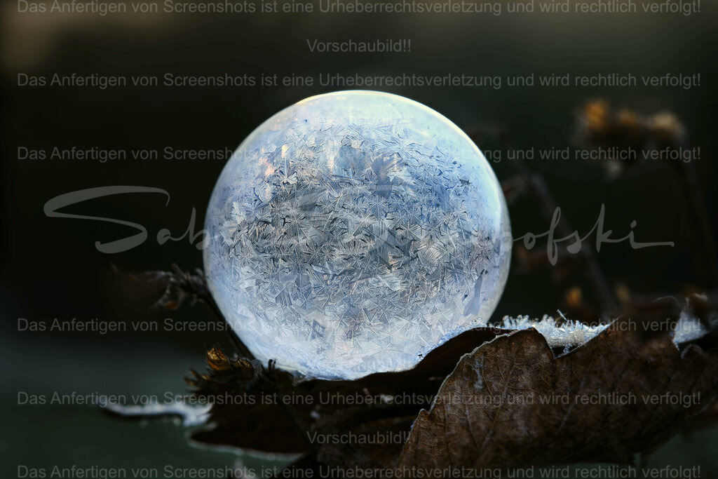 Wandbild Frozen Bubble / gefrorene Seifenblase | People- und Tierfotografie, Imageaufnahmen, Veranstaltungsfotografie und Wandbilder aus der Natur ★ Made in Germany ✔️ Druck + Downloads ✔️ Naturfotografie in Top Qualität ★ schneller Versand, weltweite Lieferung! - Realisiert mit Pictrs.com