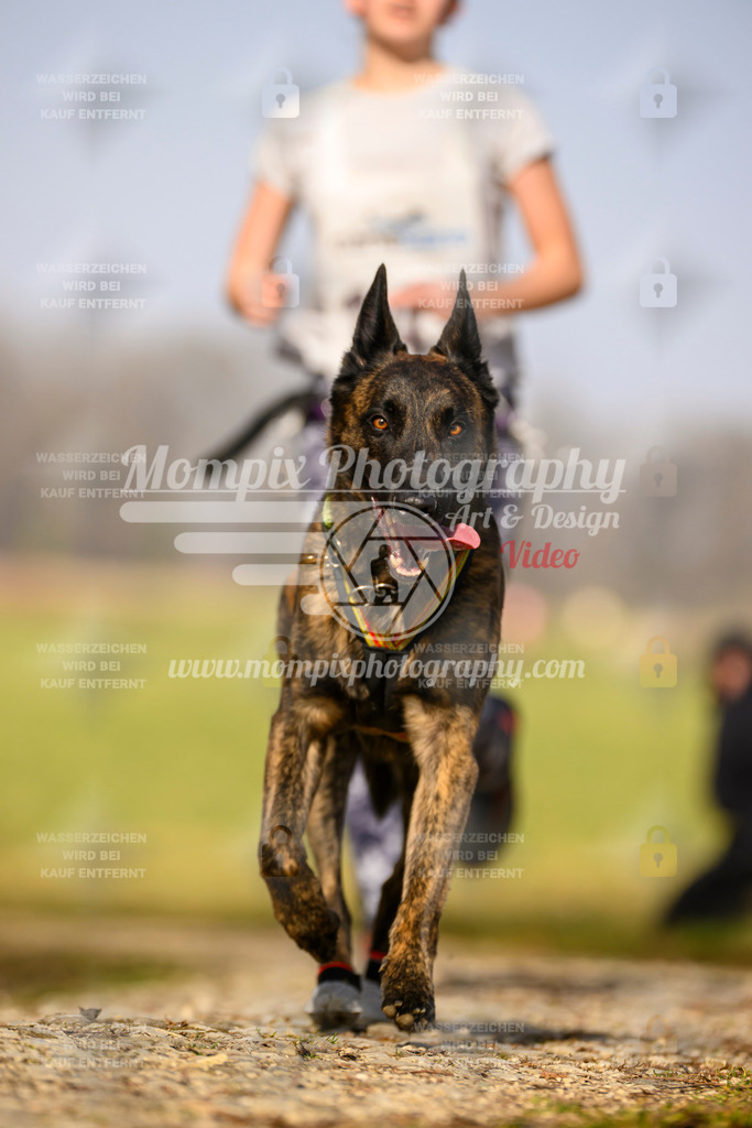 MompixPhotography_6ReiatRennen2026_SA_HappyDog-24 | PayLife