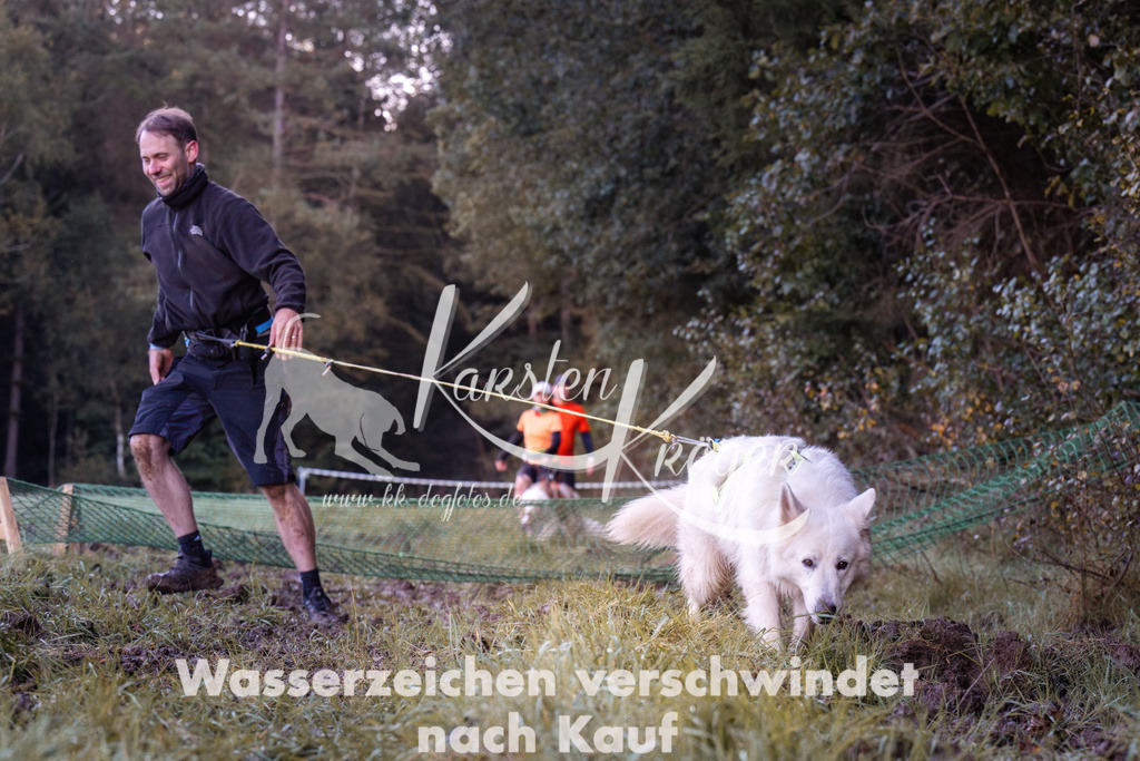 0849_ZZ91086 | kk-dogfotos