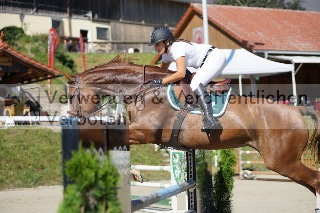 DSC02382 | equestrian-live-com