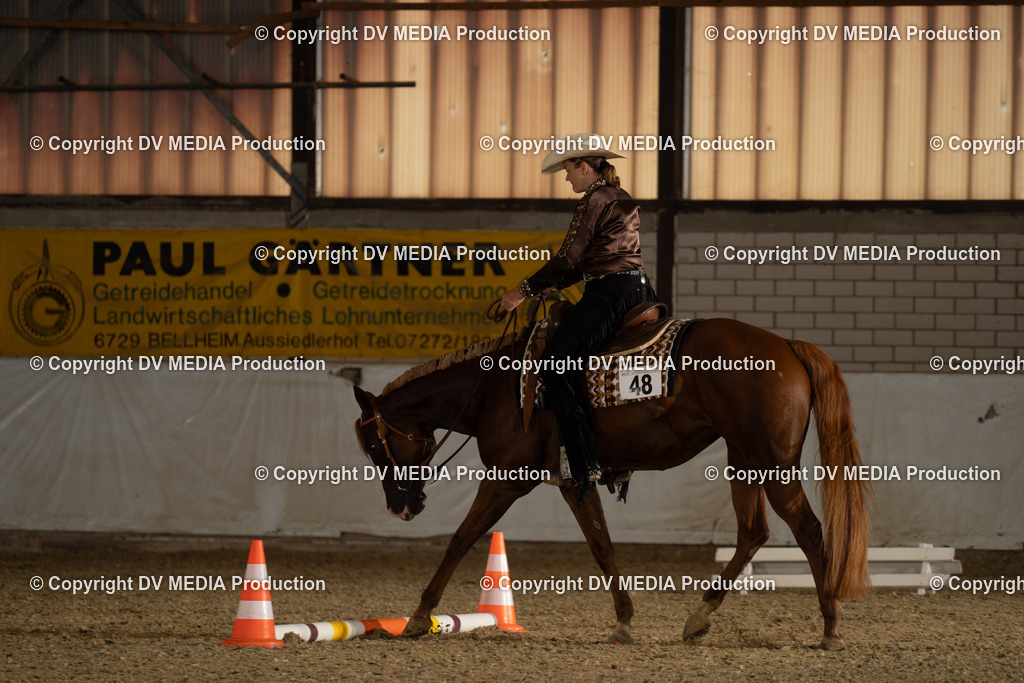 ZH200743 | dv-media-shop - Realisiert mit Pictrs.com