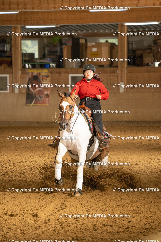 LAU00699 | dv-media-shop - Realisiert mit Pictrs.com