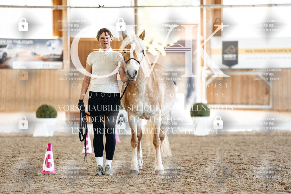CK907318 | Turnierfotografie Pferdefotografie Trier Rheinland-Pfalz Pferdesport Reitsport Tierfotografie Sportfotografie Pferdevideo Pferdevideografie Equestrianvideography equestrianphotography  - Realisiert mit Pictrs.com