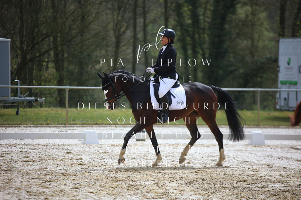 IMGT2595 | pl-fotografie