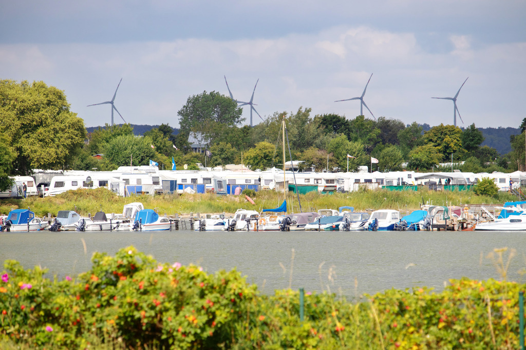 Wandbild: Blick zum Campingplatz in Olpenitz | Dieses Wandbild im Querformat zeigt den Blick vom Feriengebiet in Olpenitz zum Campingplatz. Im Vordergrund sind in der Unschärfe Heckenrosen zu sehen. Direkt vor dem Campingplatz liegen einige Boote. Der Himmel zeigt sich bewölkt im Sonnenschein. Am Horizont sind einige Windräder zu sehen. - Realisiert mit Pictrs.com