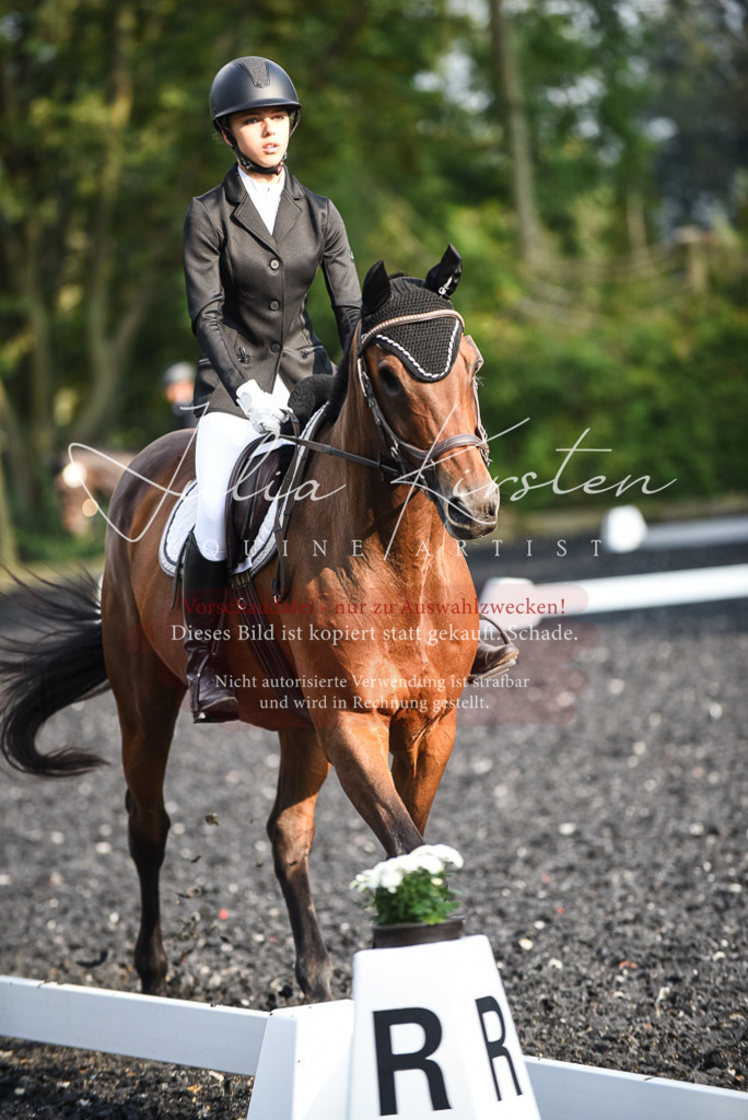 DSC_3493 | Pferde- und Turnierfotografie in Westsachsen. Pferdeportraits, Auftragszeichnungen und intuitive Kunst.
