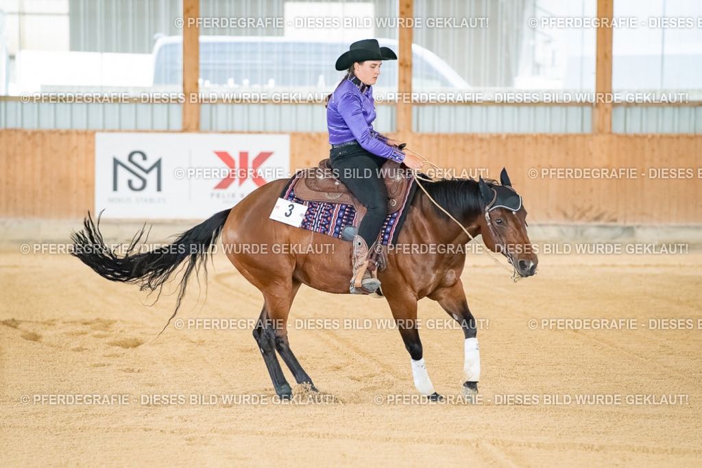 DSC07623 | Pferdegrafie