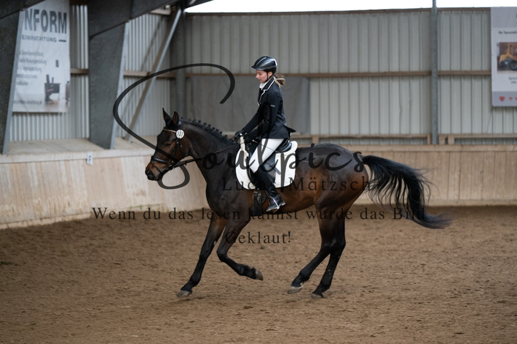 A7V05039 | Pferdefotograf