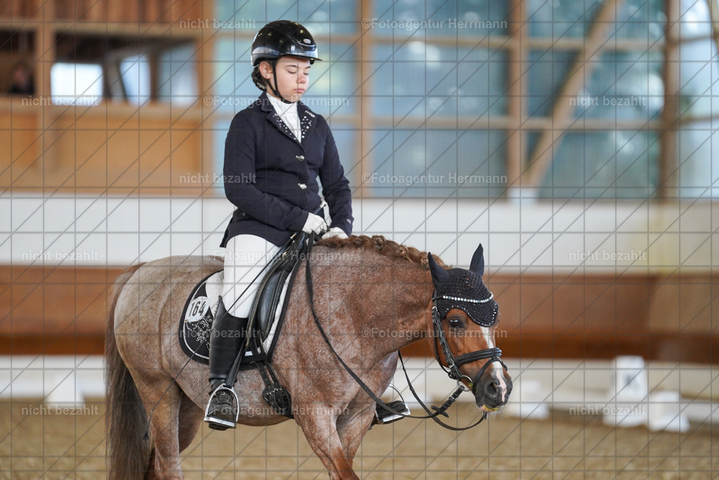 20240824-FAH07025 | Thierhaupten 2024, Bayerisches Landesponyturnier, Turnierbilder, Ponybilder, Turnierfotografen Bayern, Fotoagentur Herrmann