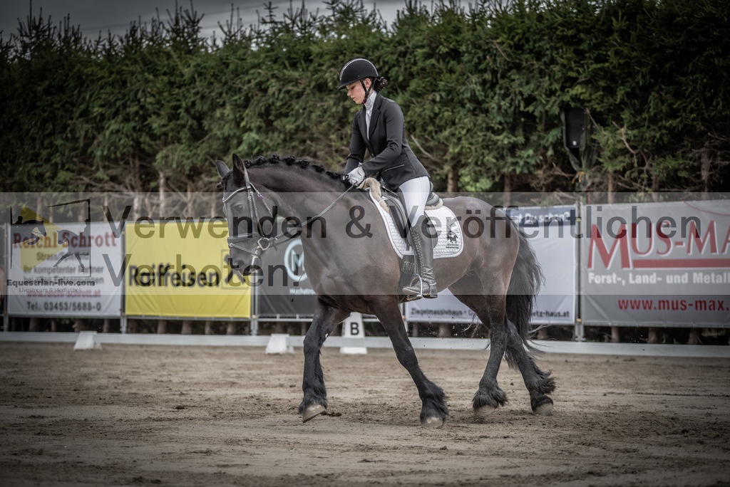 DSC_9246 | equestrian-live-com